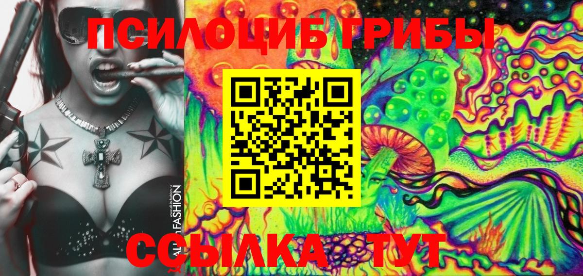 Псилоцибиновые грибы мицелий Верхняя Пышма